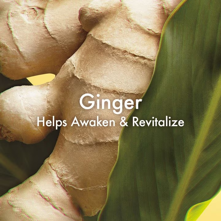 Ginger Soufflé™ Whipped Body Cream 