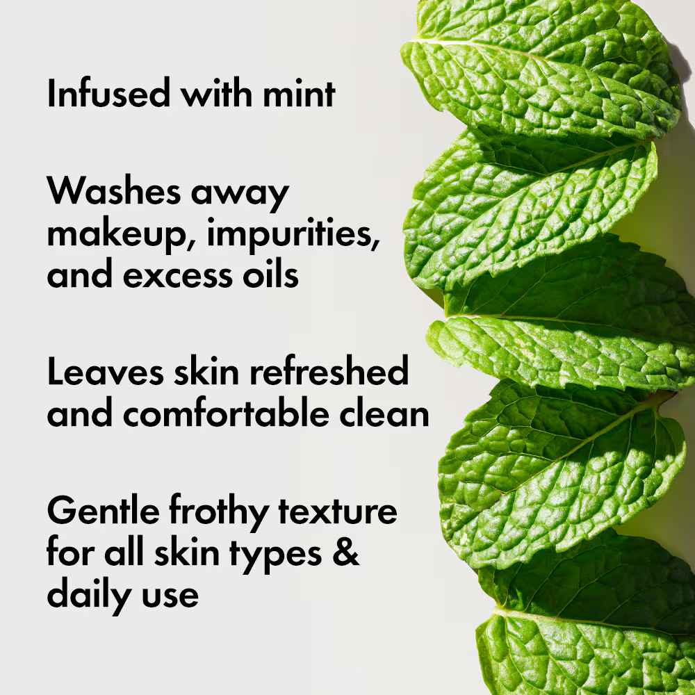 Checks and Balances™ Frothy Face Wash