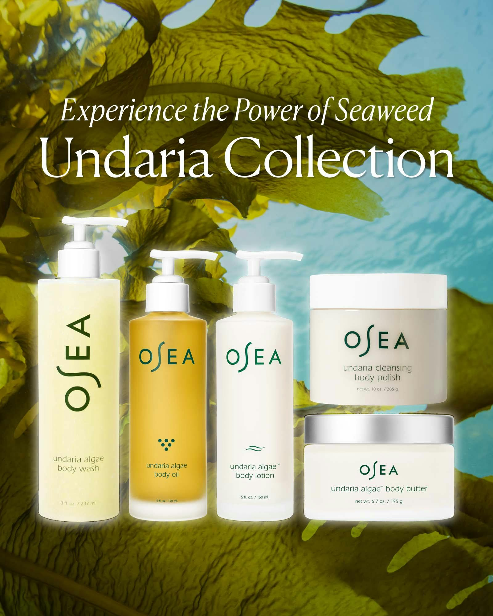 Undaria Algae Body Oil 18ml