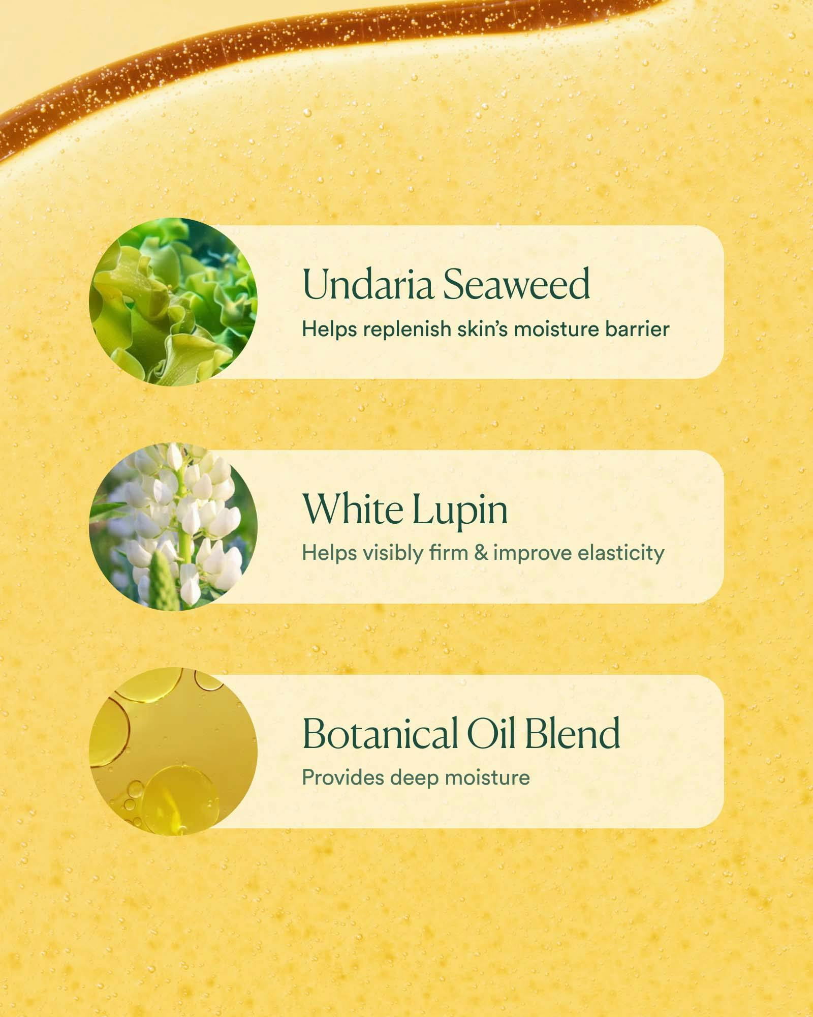 Undaria Algae Body Oil 18ml