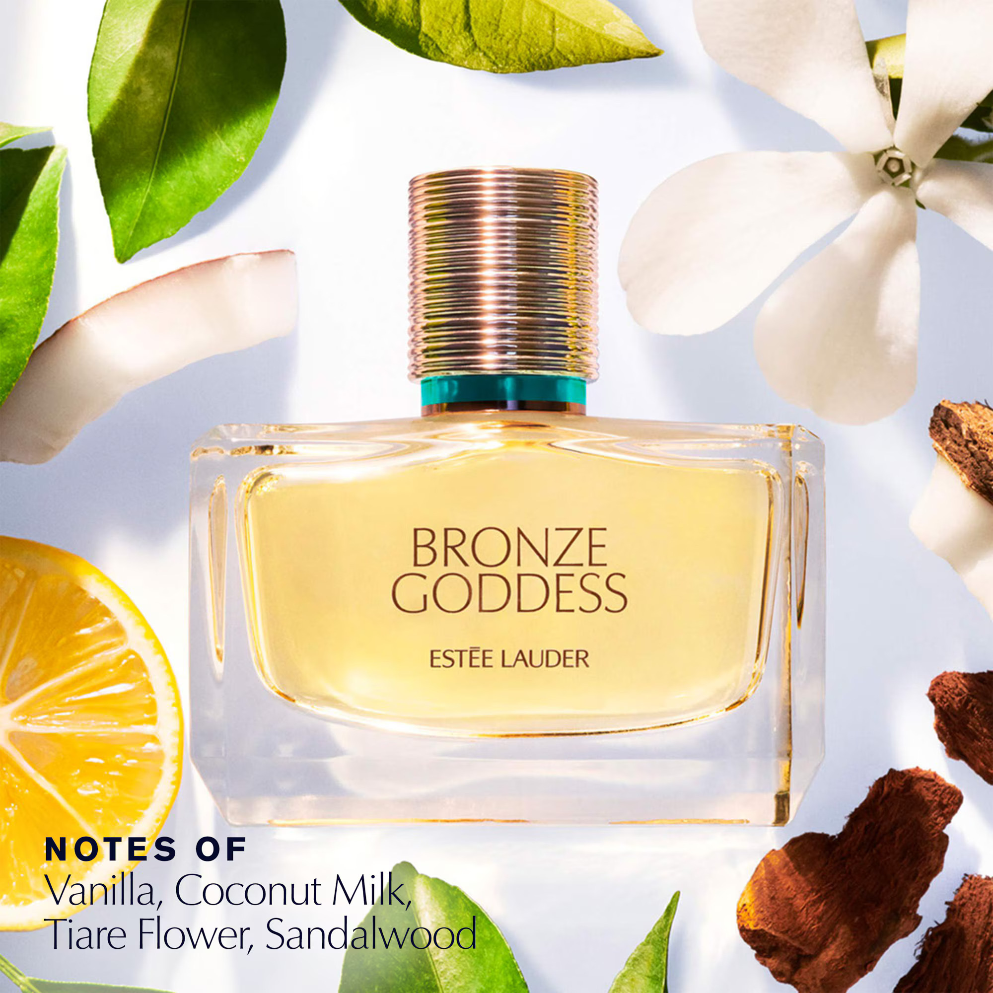 Estée Lauder Fragrance Treasures Set Mini  Size