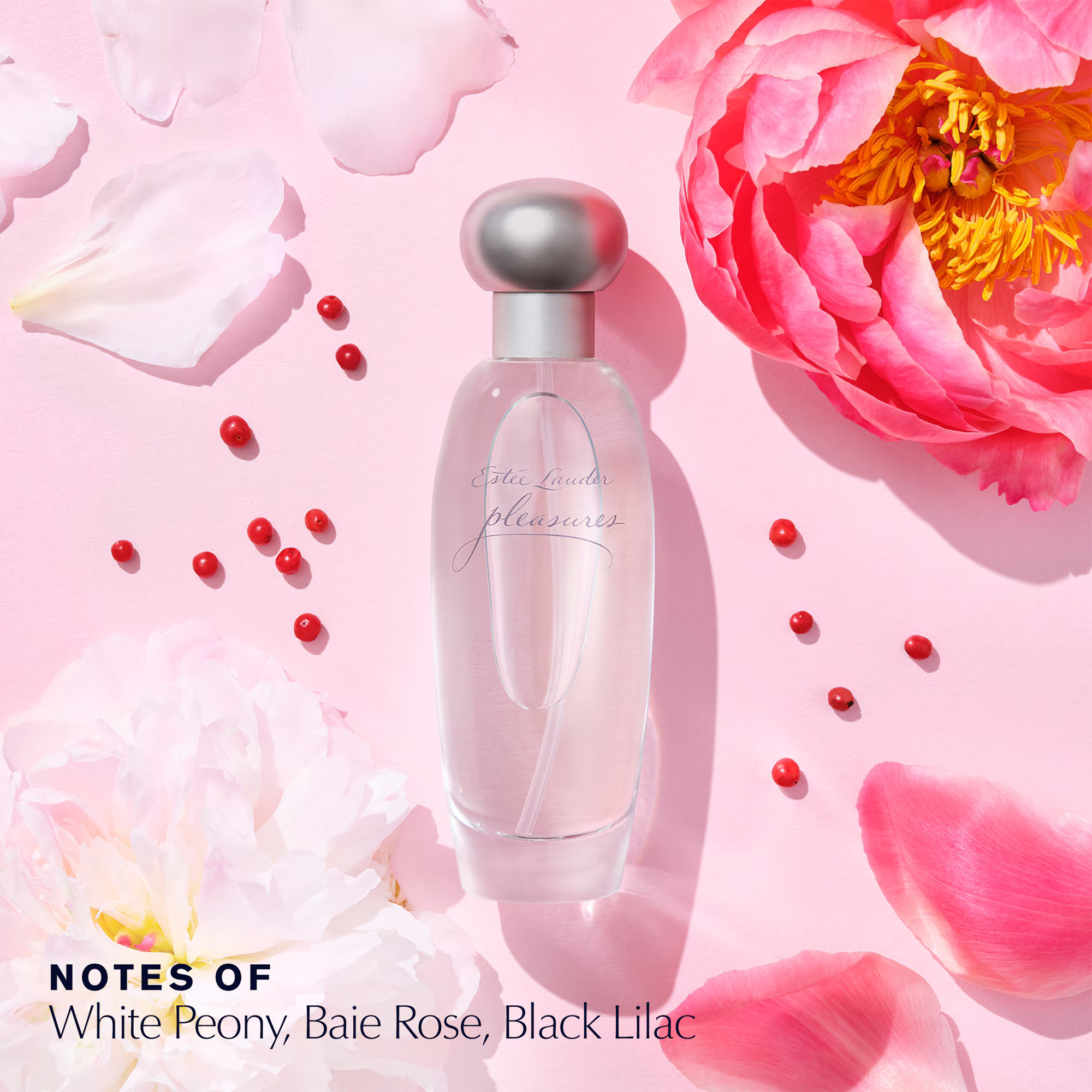 Estée Lauder Fragrance Treasures Set Mini  Size
