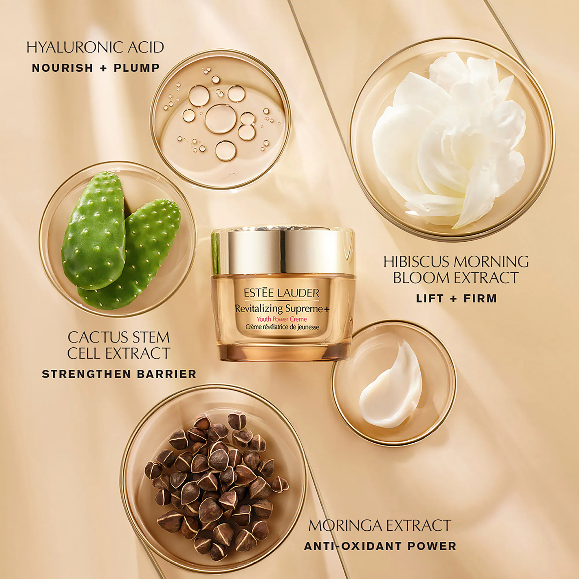 Youth Power moisture cream